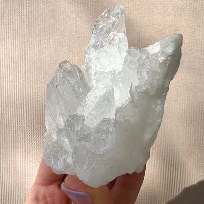 Quartz Crystal 6 SS01