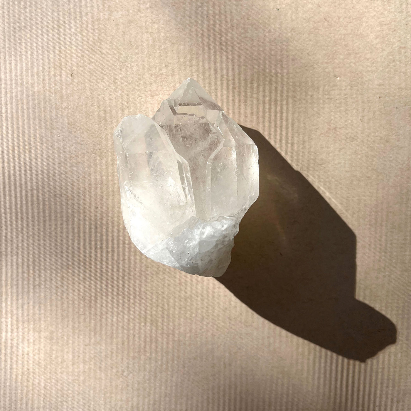 Quartz Crystal 8 SS01