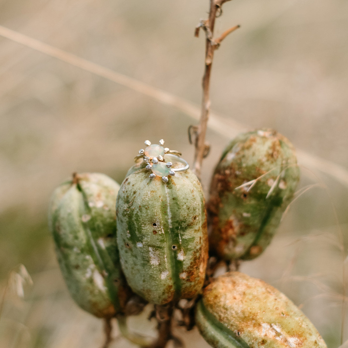 White Opal Statement Rings